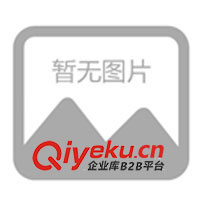 供應渦輪蝸桿直流減速電機、渦輪蝸桿減速電機(圖)